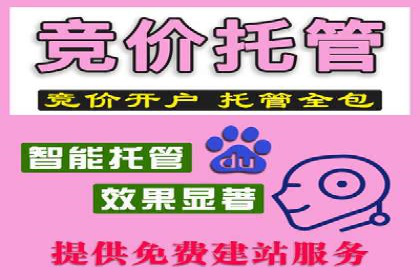 SEM运营公司案例研究：广告创意与执行